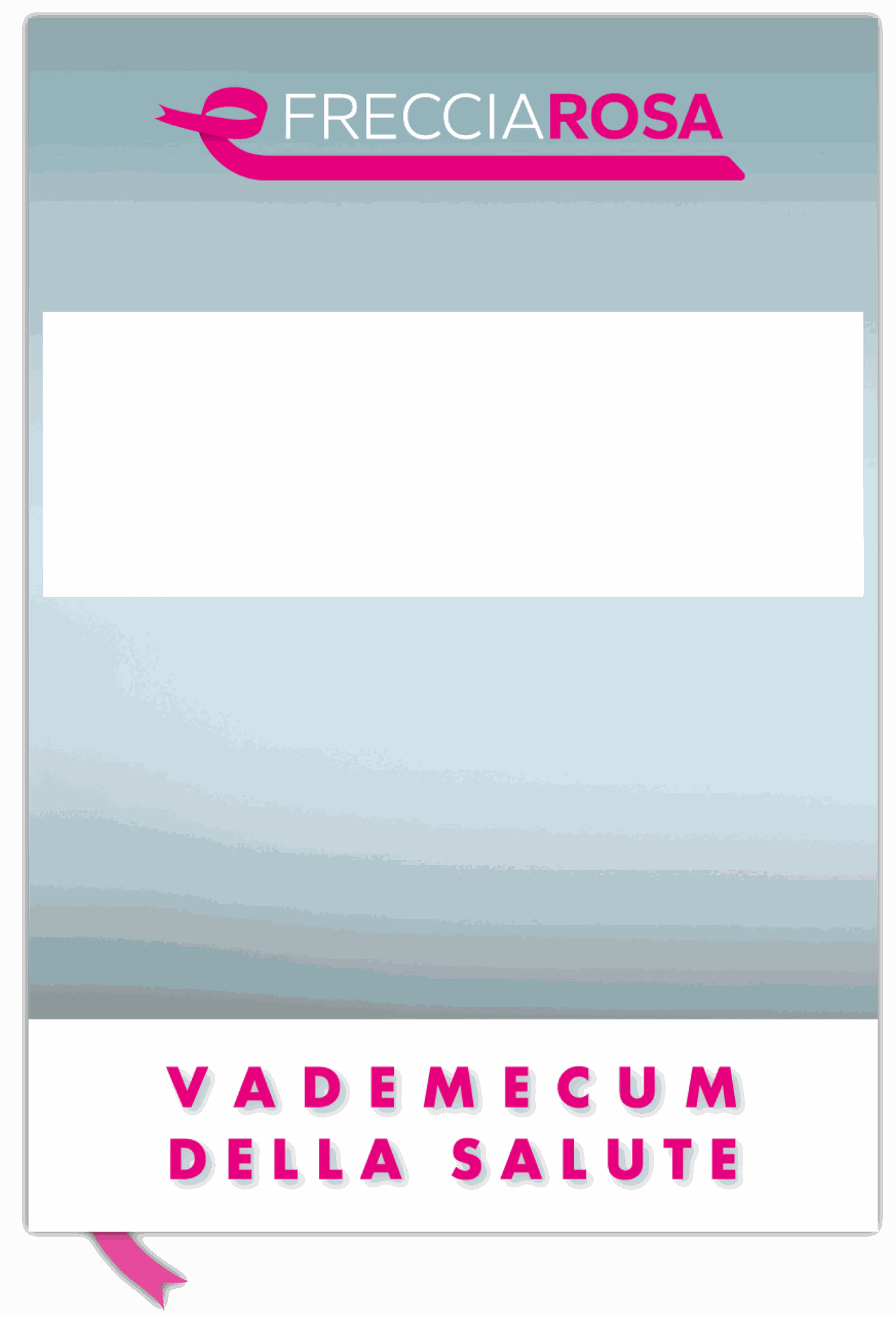 Immagine di copertina del vademecum