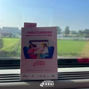 A bordo frecciarosa