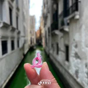 Squadra Canottaggio - La Vogalonga