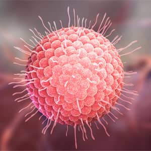 Anti-herpes zoster