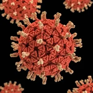 Anti-rotavirus