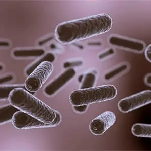 Anti difterite, tetano, pertosse