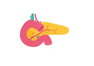Pancreas