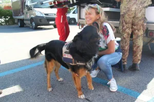 Evento - Villaggio della prevenzione 2014 a Castel Gandolfo
