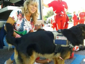 Evento - Villaggio della prevenzione 2014 a Castel Gandolfo