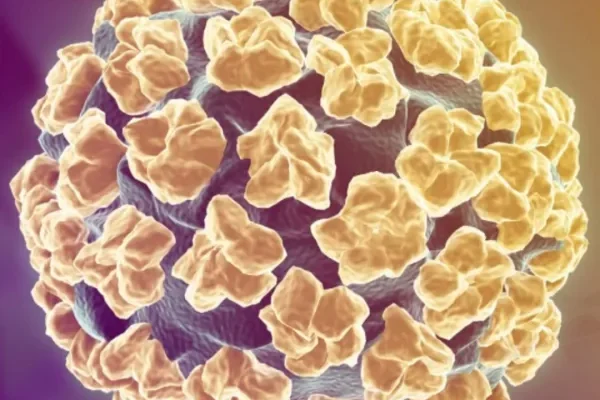 Immagine di copertina della notizia Non dimentichiamo gli altri vaccini