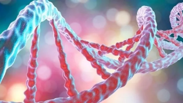 Immagine di copertina della notizia Comunicato stampa - ‘INCONTRADONNA’: “DIFFICOLTA’ NELL’ACCESSO ALL’ONCOLOGIA DI PRECISIONE”