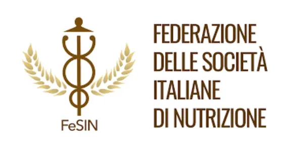 Logo FeSIN