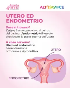 ALTRAVOCE 2026 – Piccola Guida per la salute ginecologica ep. 1