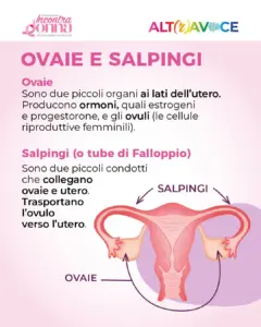 ALTRAVOCE 2026 – Piccola Guida per la salute ginecologica ep. 1