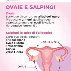 Immagine galleria evento
