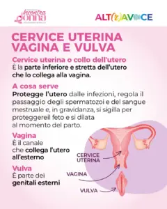 ALTRAVOCE 2026 – Piccola Guida per la salute ginecologica ep. 1