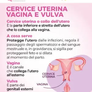 Immagine galleria evento